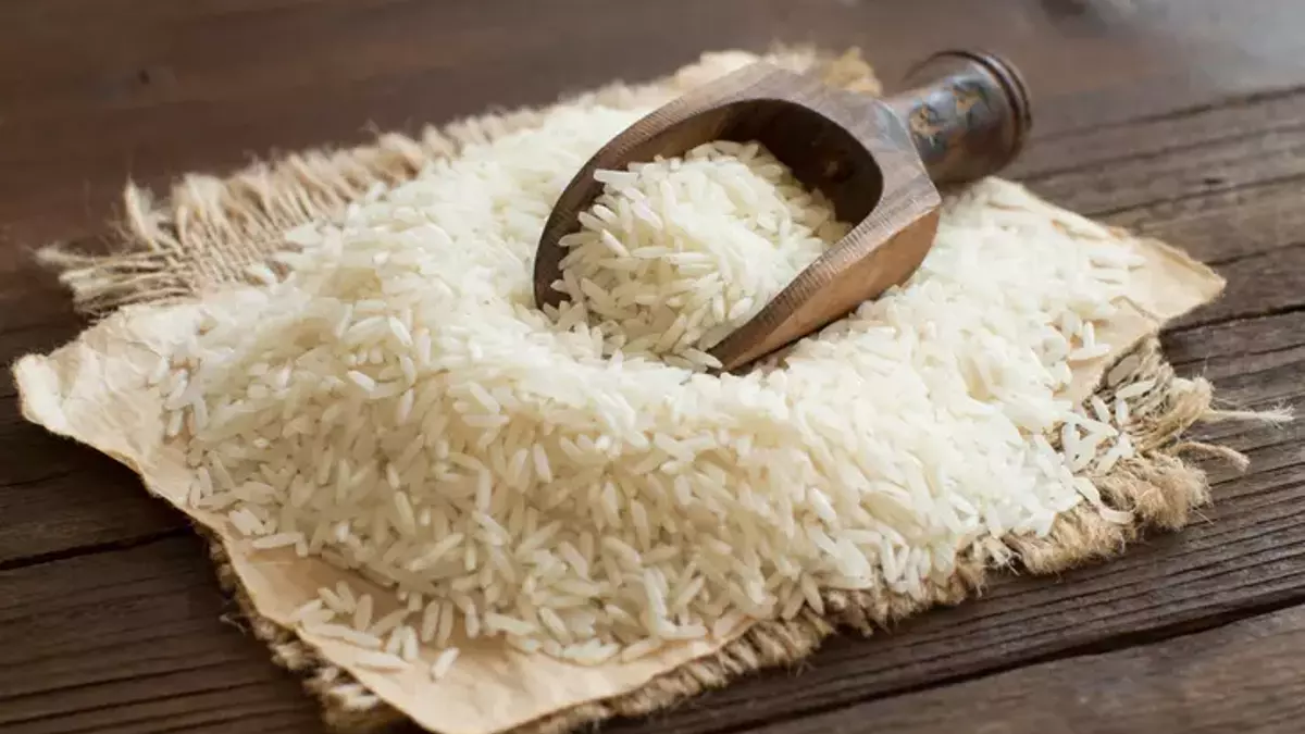 Mahmood Rice Basmati Pirinci Kalori Değeri